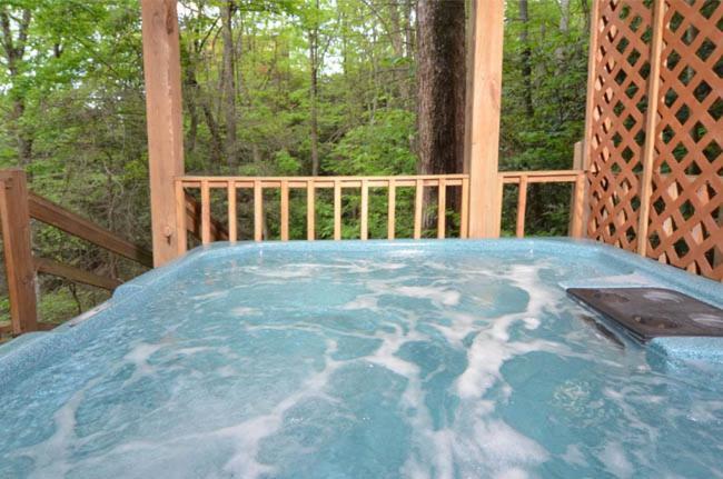 #3690 Bear Creek Lodge Hatchertown Eksteriør billede